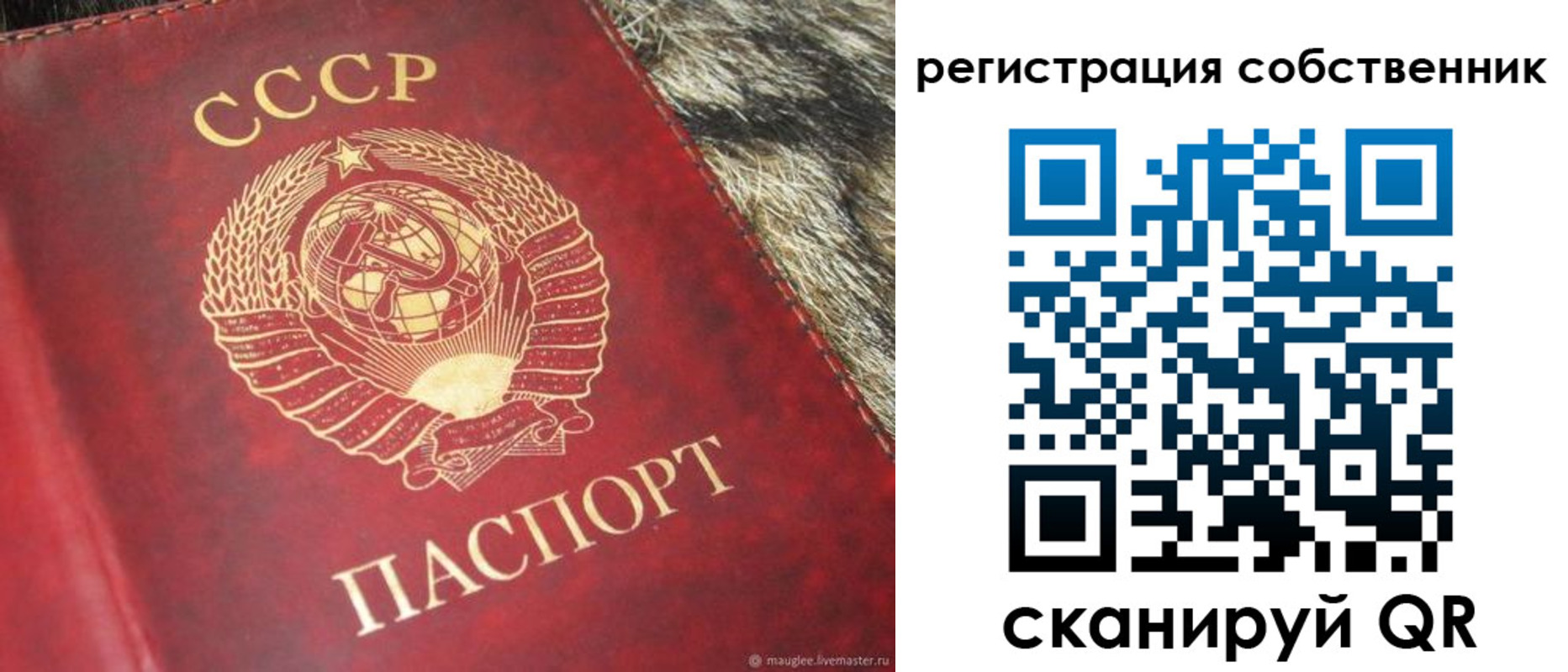 временная регистрация надежно в Искитиме